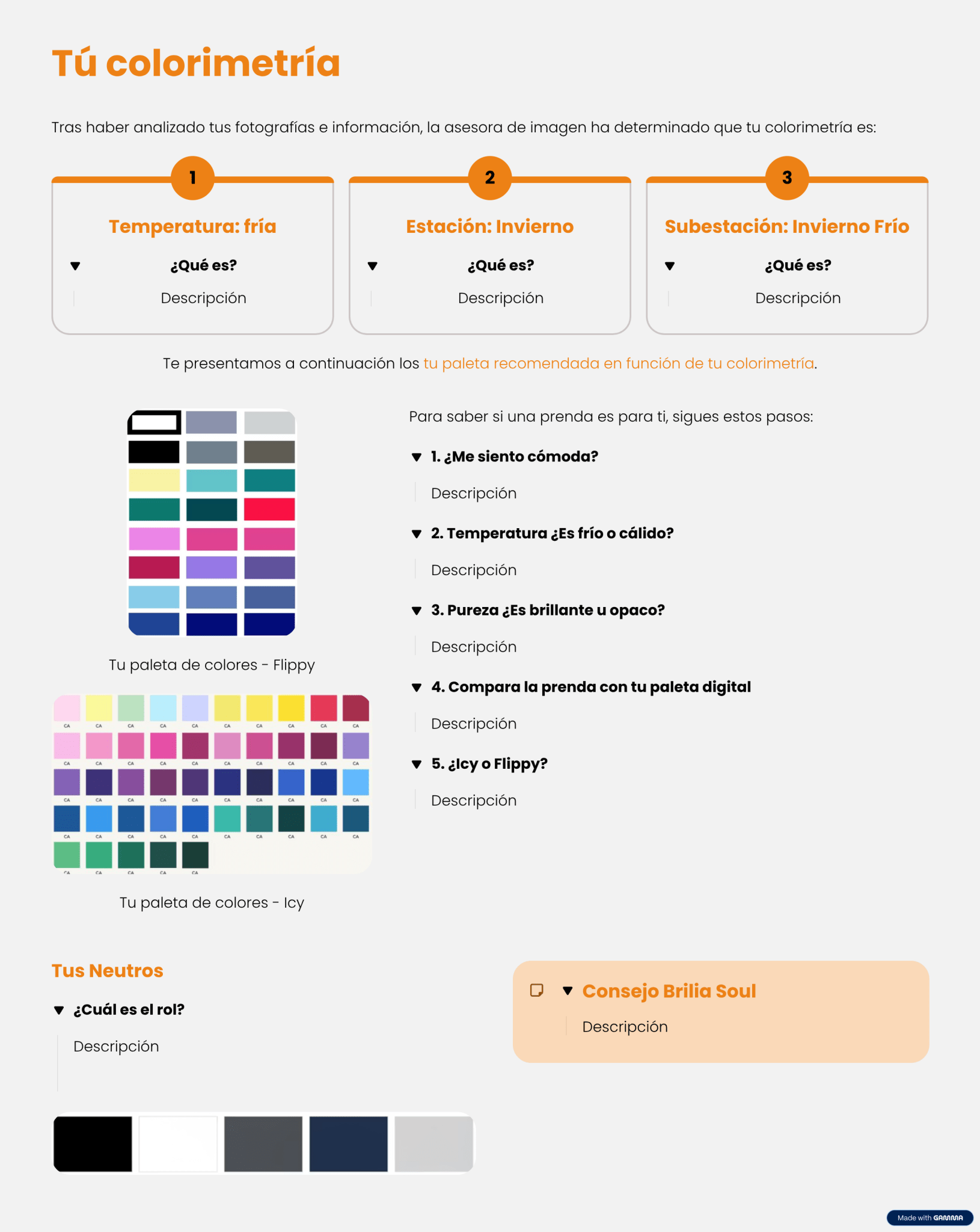 Diagnóstico Experto Colorimetría y Visagismo - Informe Digital - Brilia Soul